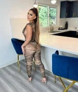 The Zebra Mesh V-Neck Jumpsuit